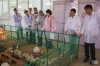 DOMINANT CZ breeding for organic poultry farming in the South of Russia: results and recommendations in the format of a workshop