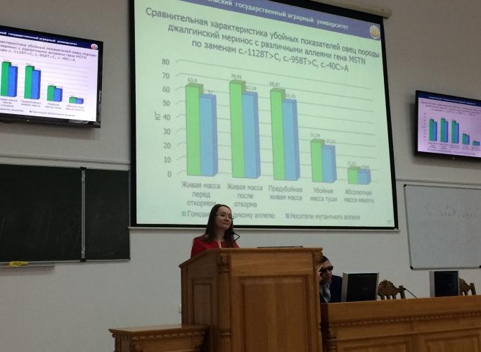 The pre-defense of candidate theses took place