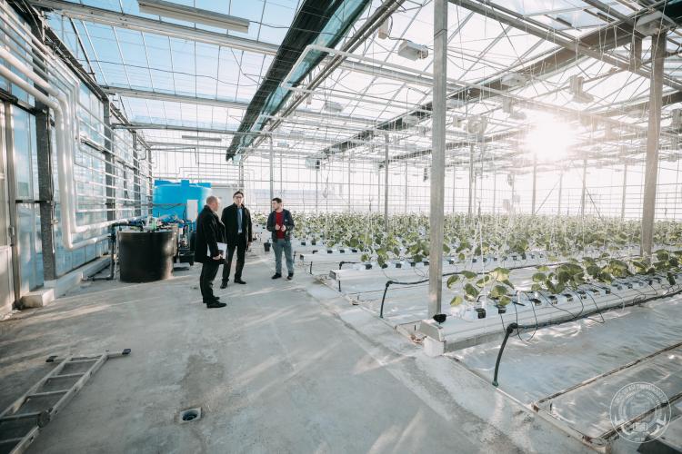 Visit of the Vice-Rector for Innovative Development and Commercialization of the RSAU - Moscow Agricultural Academy named after K.A. Timiryazev at Stavropol State Agrarian University