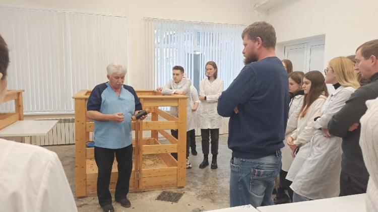 Практико-ориентированное занятие по воспроизводству овец