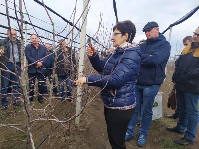 Future agronomists took part in the regional seminar on fruit growing