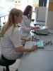Contest of the National system of development of scientific, creative and innovative activities of Russian youth «Integration» has been completed