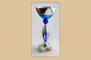 In St. Petersburg passed the 7th International cup of Neva on mini-soccer