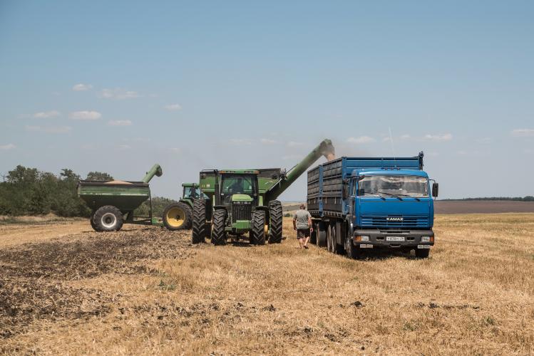 Grain harvesting is the base of practice for students of SSAU