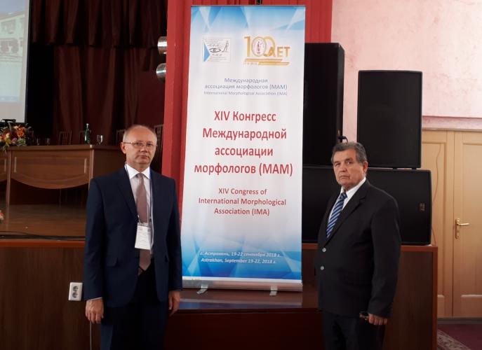 Participation in the work of the XIV Congress of the International Association of Morphologists