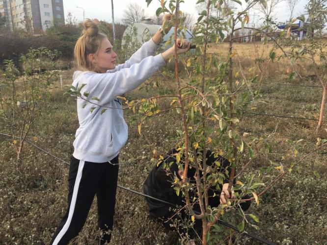 Practice-oriented lesson on pruning a seed garden