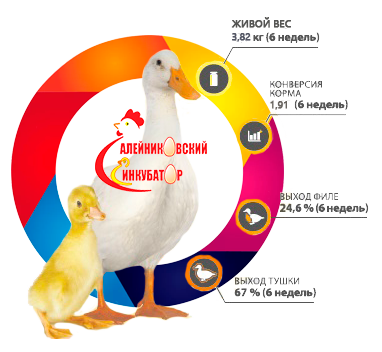 Negotiations on mutually beneficial activities in the breeding season of 2022 in production