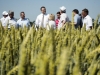 A scientific approach to increase grain yield
