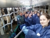 Spring Academy of Animal Husbandry - 2017: from theory to practice