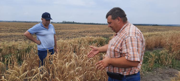 Collaboration in the field of breeding and seed production