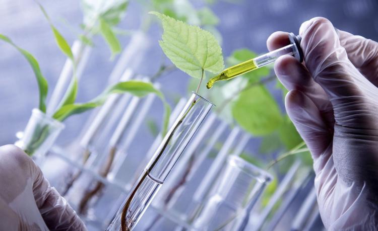 The Innagro project invites farmers to participate in biologics trials through Its Farm
