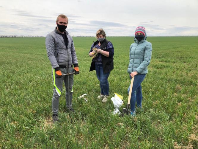 Research on R&D topics commissioned by the Ministry of Agriculture of the Stavropol Territory