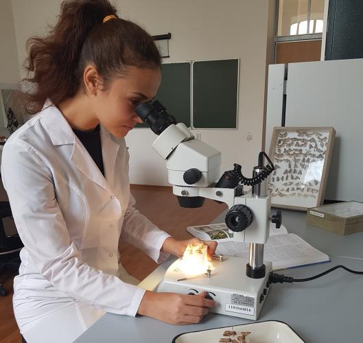 Student of the Stavropol GAU – winner of “Bystudy-2018”