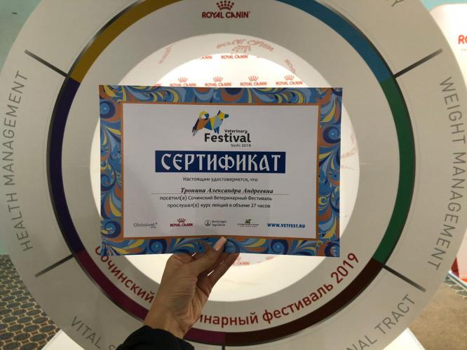 XIV Сочинский ветеринарный Фестиваль XIV Сочинский ветеринарный Фестиваль