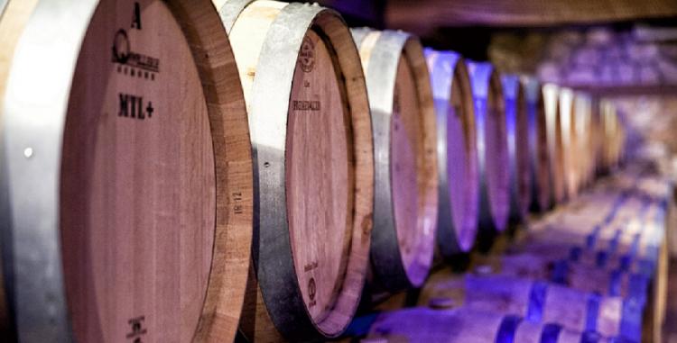 The course on the additional general educational program "Winemaking of the Old World" has completed