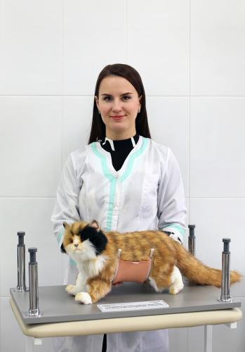 Everything about cats was told to schoolchildren in SSAU
