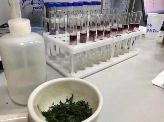 A virtual seminar was held at the Department of Agrochemistry and Plant Physiology