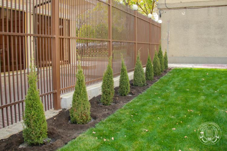 New landscape solutions were implemented on the territory of the Stavropol State Agrarian University by the student team "Ozelenitel"