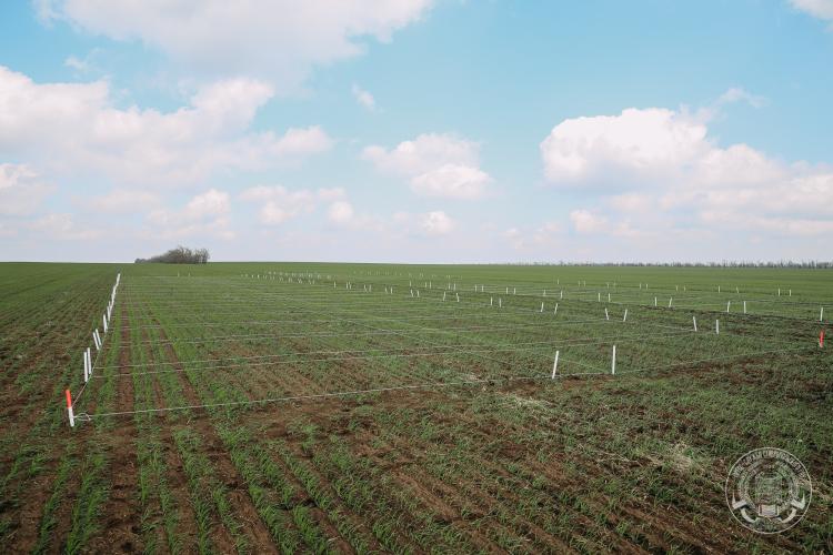 Cooperation with peasant farms in the field of fungicide testing