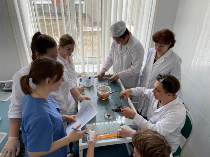 Scientific research using the breeding material of the chicken cross "Dominant TsZ"
