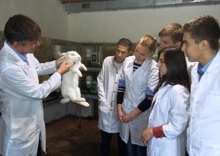 Interactive lesson on the subject "Production of livestock products"