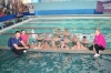 On April 18, 2018, swimming competitions were held among the faculties of the State Agrarian University as part of the 62nd Sports Games of students, undergraduates, postgraduates
