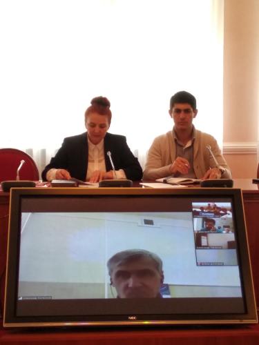 Participation in the on-line coordination meeting of organizations - potential participants of the IRP
