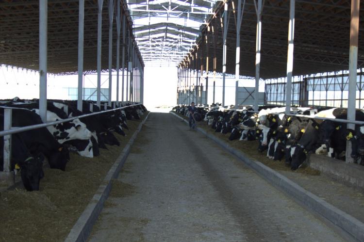 Extra-mural training of students of the Faculty of Agricultural Mechanization