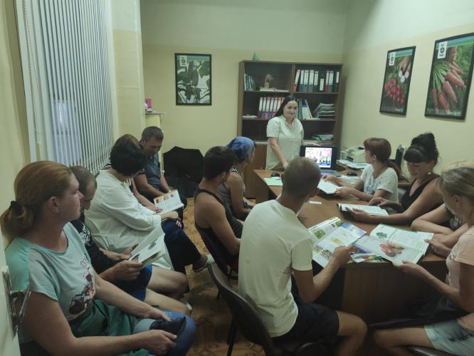 Professional development within the framework of the Federal project "Promotion of employment"