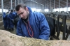 "Autumn Academy of livestock breeding - 2016" – a stage for future employment of agrarian youth