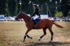The horse-racing school of SSAU won victory in city competitions