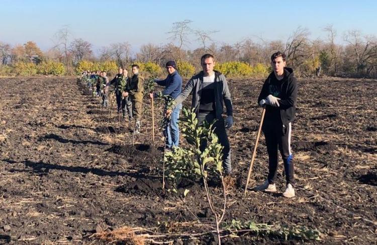 New training gardens at Stavropol State Agrarian University