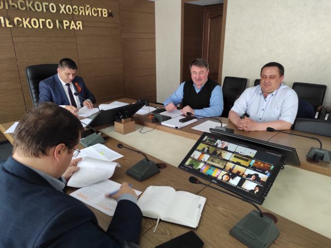 Formation of promising areas for genetic improvement of beef cattle of Stavropol Territory