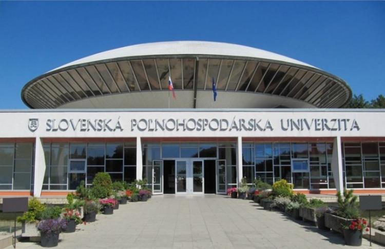 Participation of V.I. Trukhachev in the reporting meeting of the Slovak Academy of Sciences