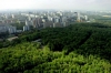 Scientists of Stavropol State Agrarian University supported the creation of the "Green Shield" of the city of Stavropol