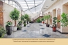 Master-class on the creation of a favorable microclimate in a residential area