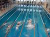 Results of Spartakiad in swimming