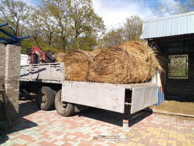 Assistance to educational and experimental farm of SSAU to the zoo