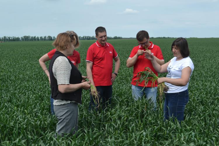 The teacher of the Stavropol State Agrarian University successfully defended his doctoral dissertation