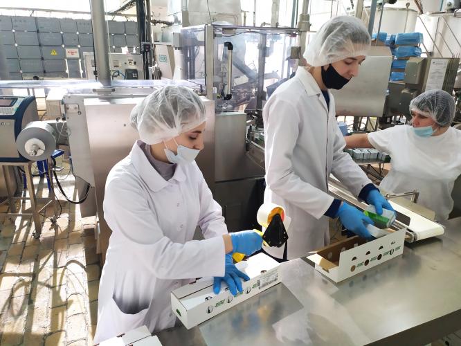 Future specialists receive professional skills in the conditions of the leading agricultural holdings in Russia