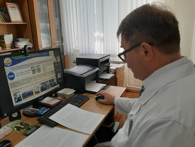 All-Russian webinar on pedigree dairy cattle breeding