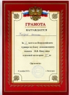 Two silver victories on the All-Russian tournament on boxing